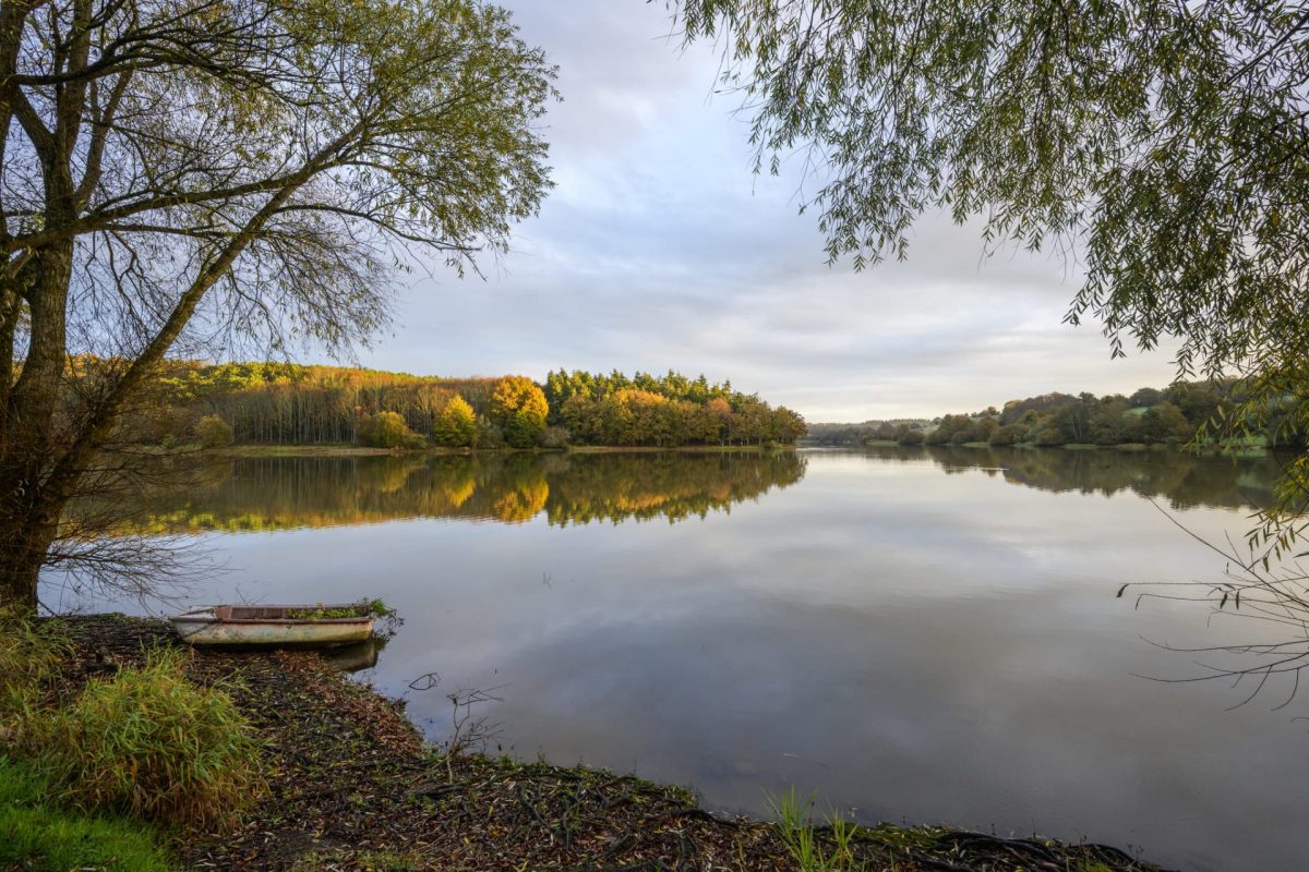 Le Lac du Jaunay en Vendée