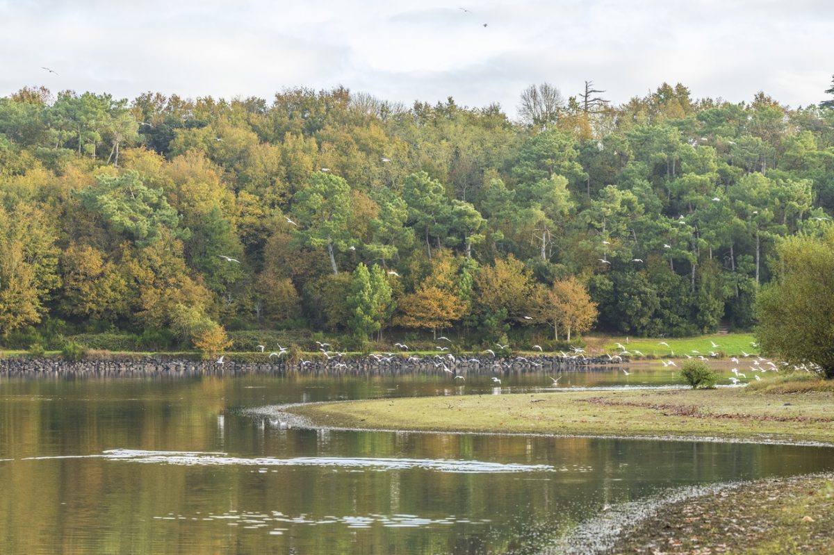 Le Lac du Jaunay en Vendée