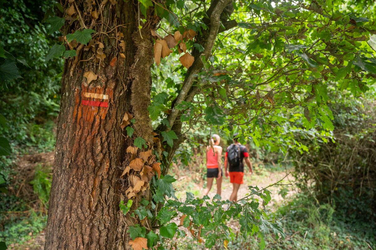 Randonnée pédestre au Pays des Achards