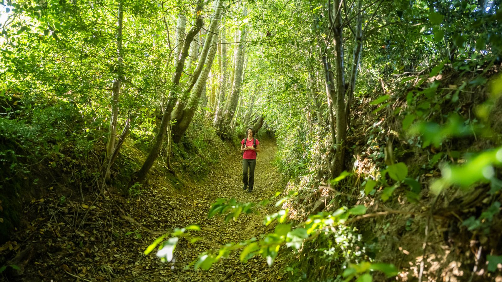 Randonnée pédestre au Pays des Achards
