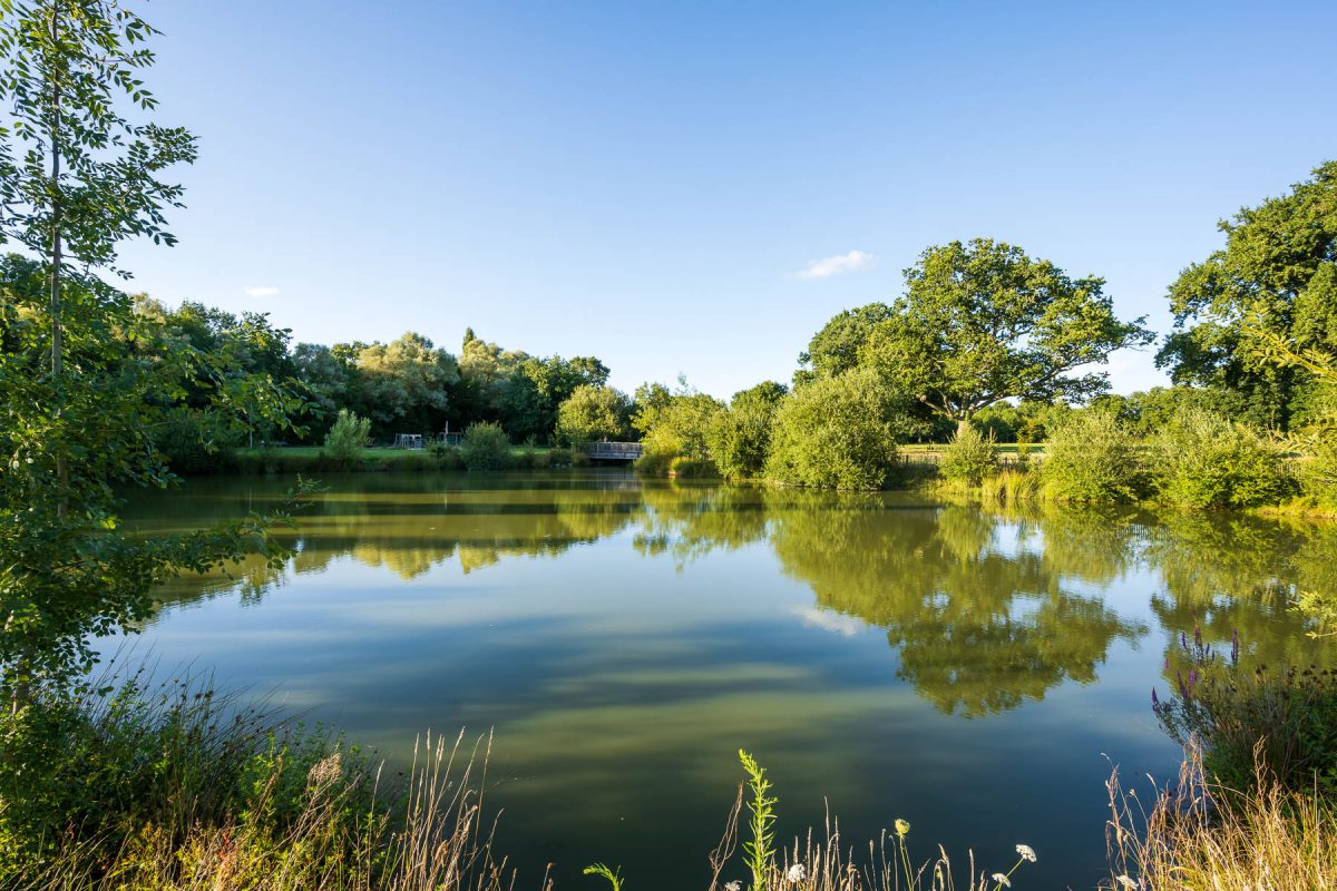 Plan d'eau de la Chenaie Ste Flaive des Loups