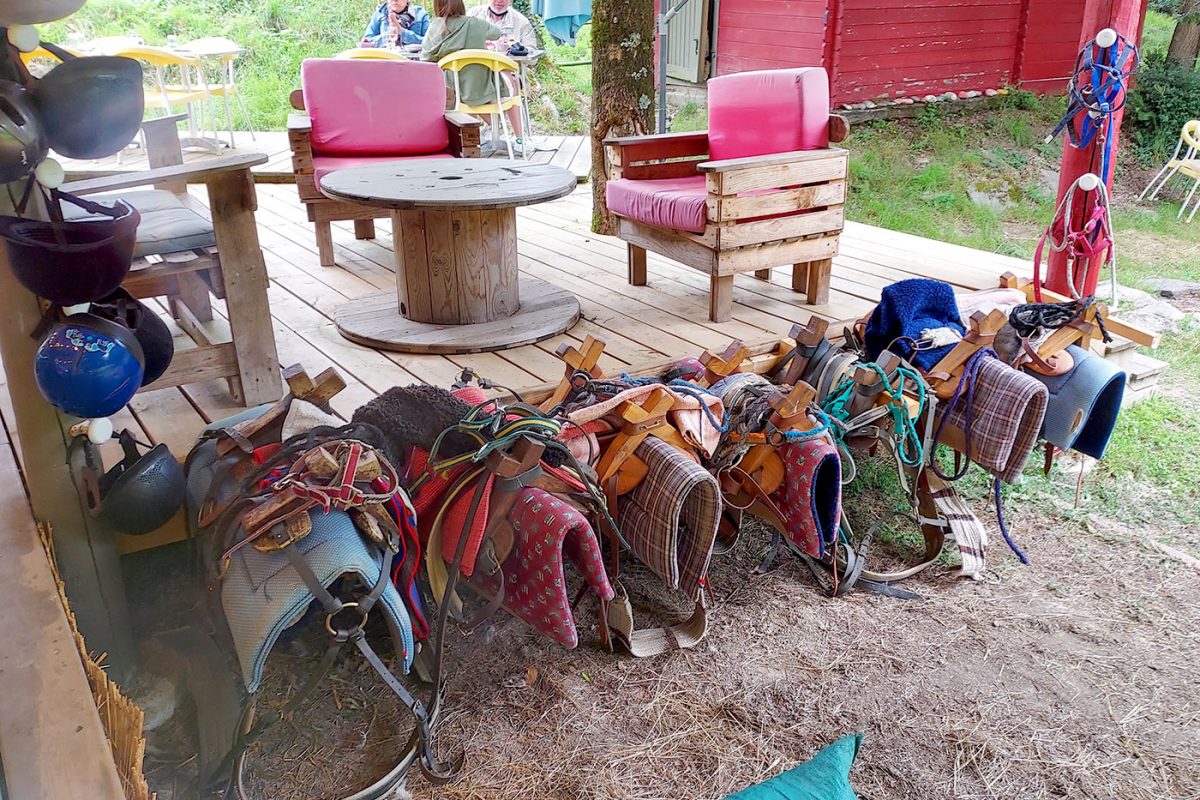Balade Câlins Ca-ânes à la Chapelle Hermier