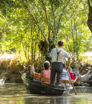 Les marais de Vendée
