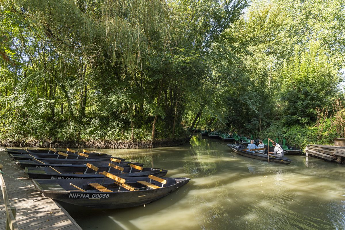 Balade barque embarcadères marais poitevin Vendée
