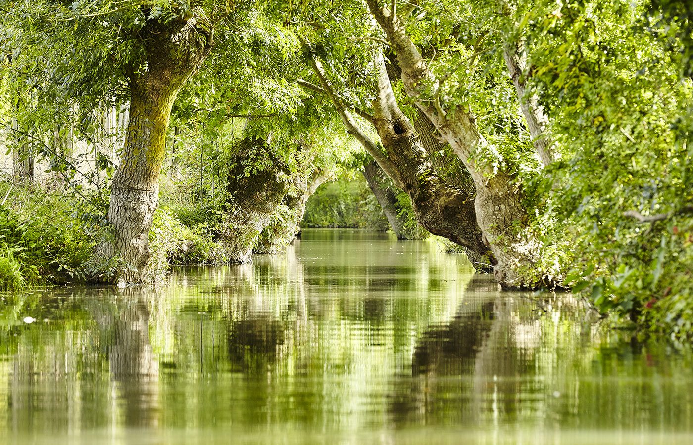 Les canaux du Marais Poitevin en Vendée