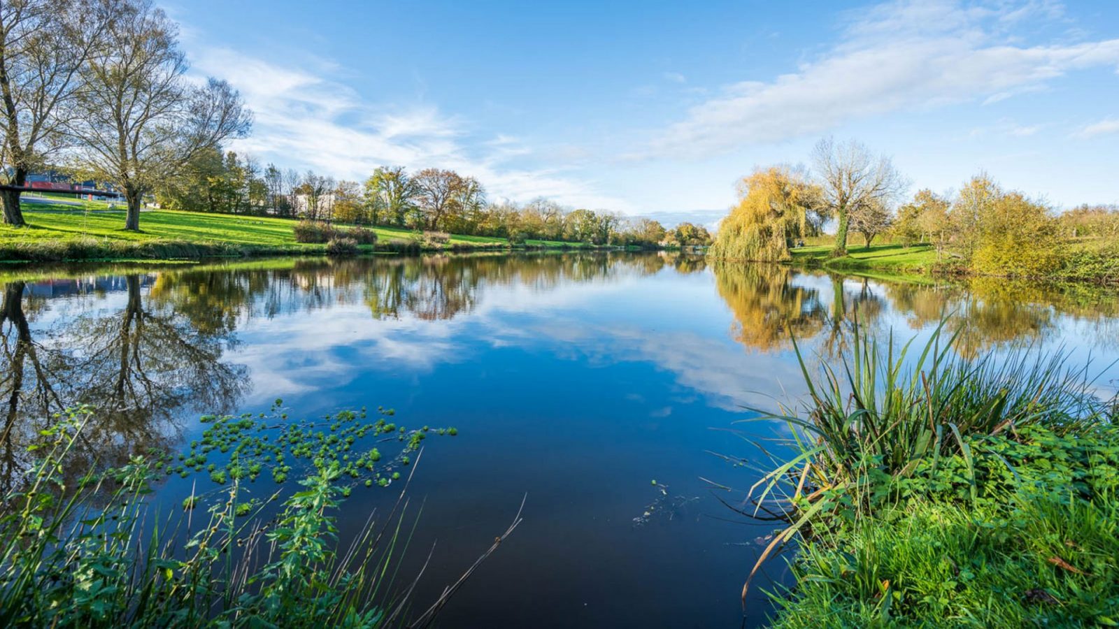 Bandeau Campagne bord de mer Le Bibrou Les Achards (La Mothe-Achard)