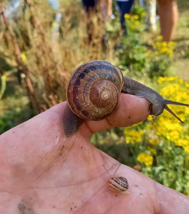 Que faire quand il pleut en Vendée ?
