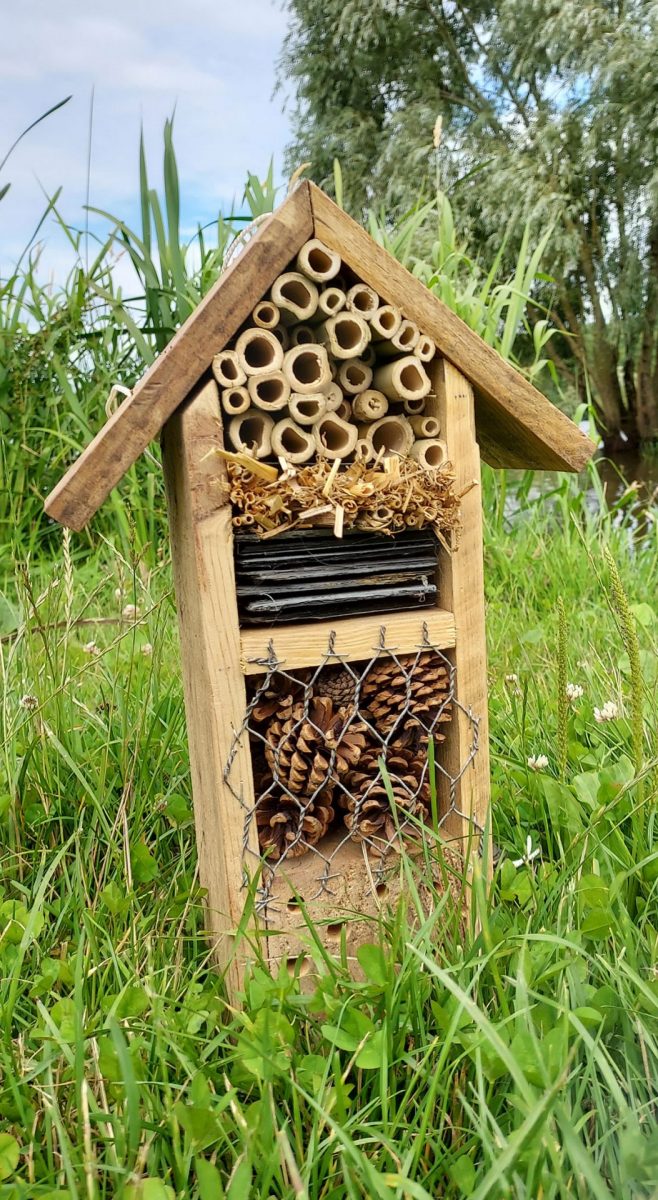 Les Jaunay'Scapades atelier creatif hotel à insectes