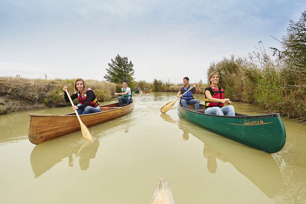 La route du sel canoes marais