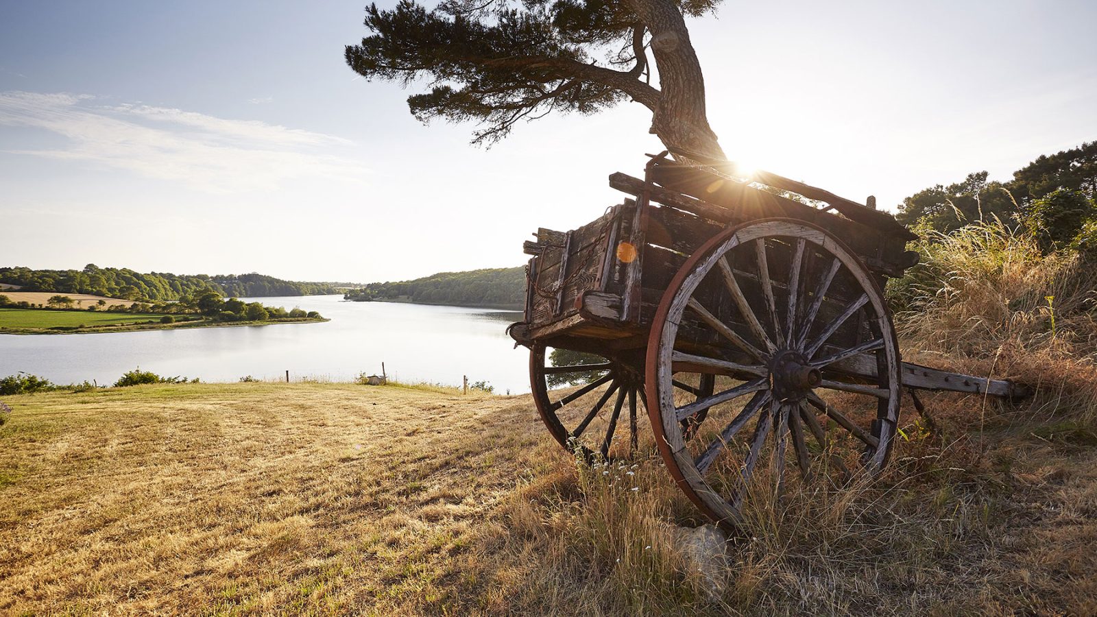 Le Lac du Jaunay en Vendée