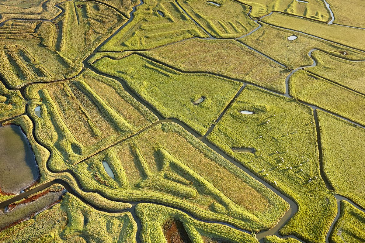 Le Marais Breton vendéen