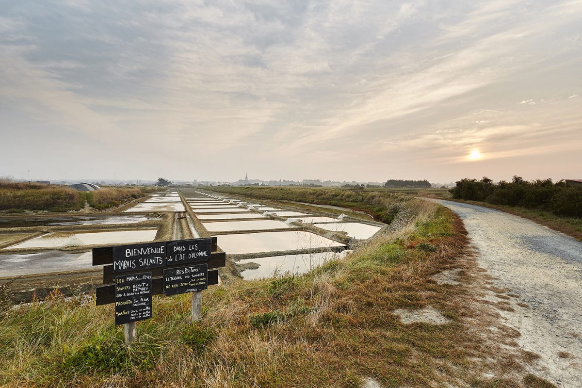 Marais salants de l'Ile d'Olonne