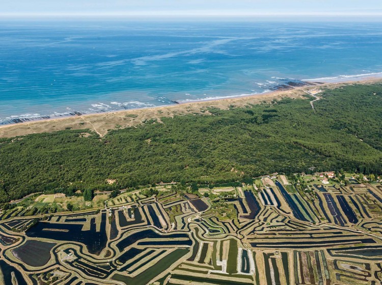 Marais salants de l'Ile d'Olonne