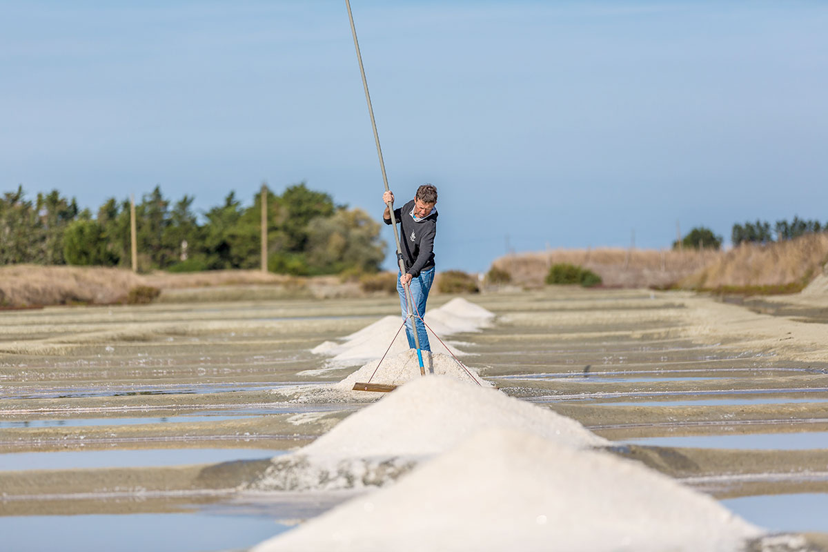 Gastronomie vendéenne Marais salants