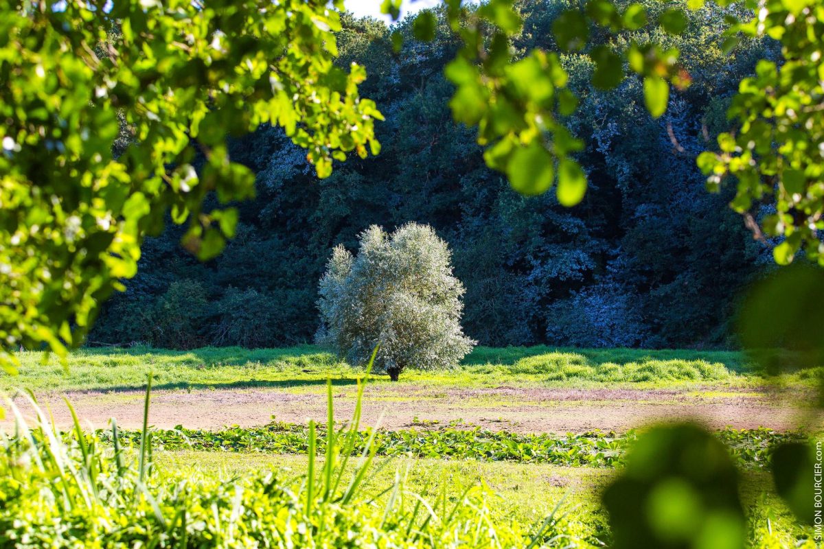 Le Lac du Jaunay en Vendée secrets de territoire