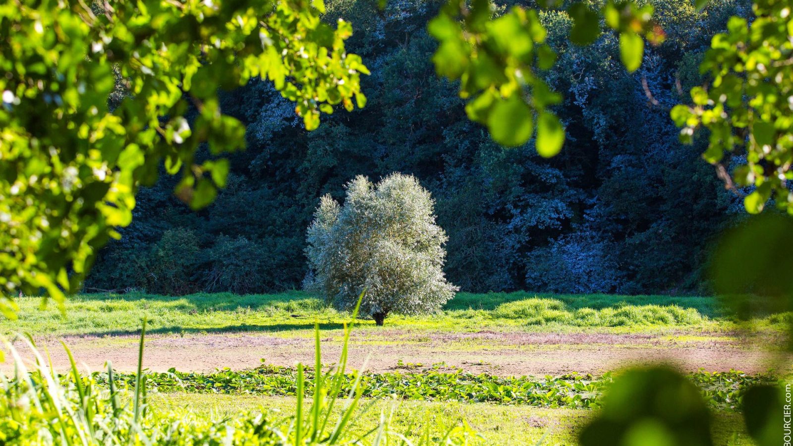 Le Lac du Jaunay en Vendée secrets de territoire
