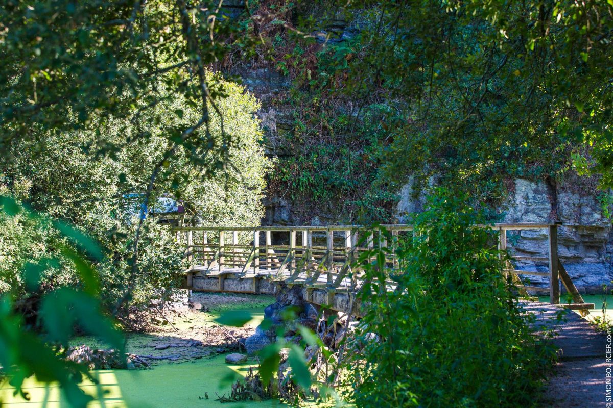 Passerelle observatoire au Lac du Jaunay