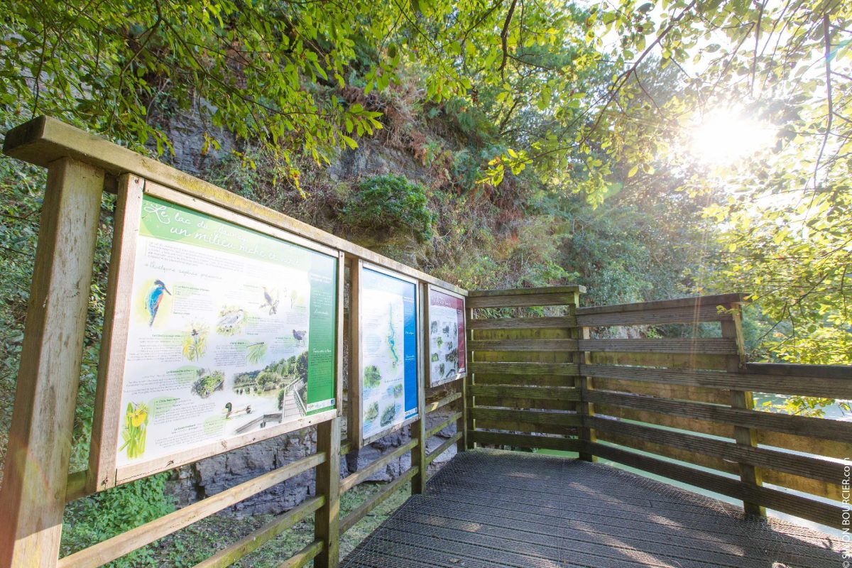 Passerelle observatoire au Lac du Jaunay