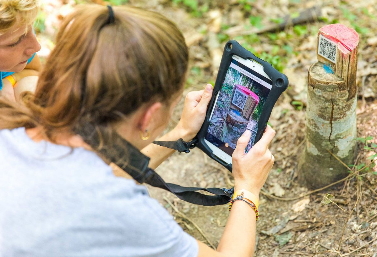 Parc de loisirs Le Grand Défi St Julien des Landes