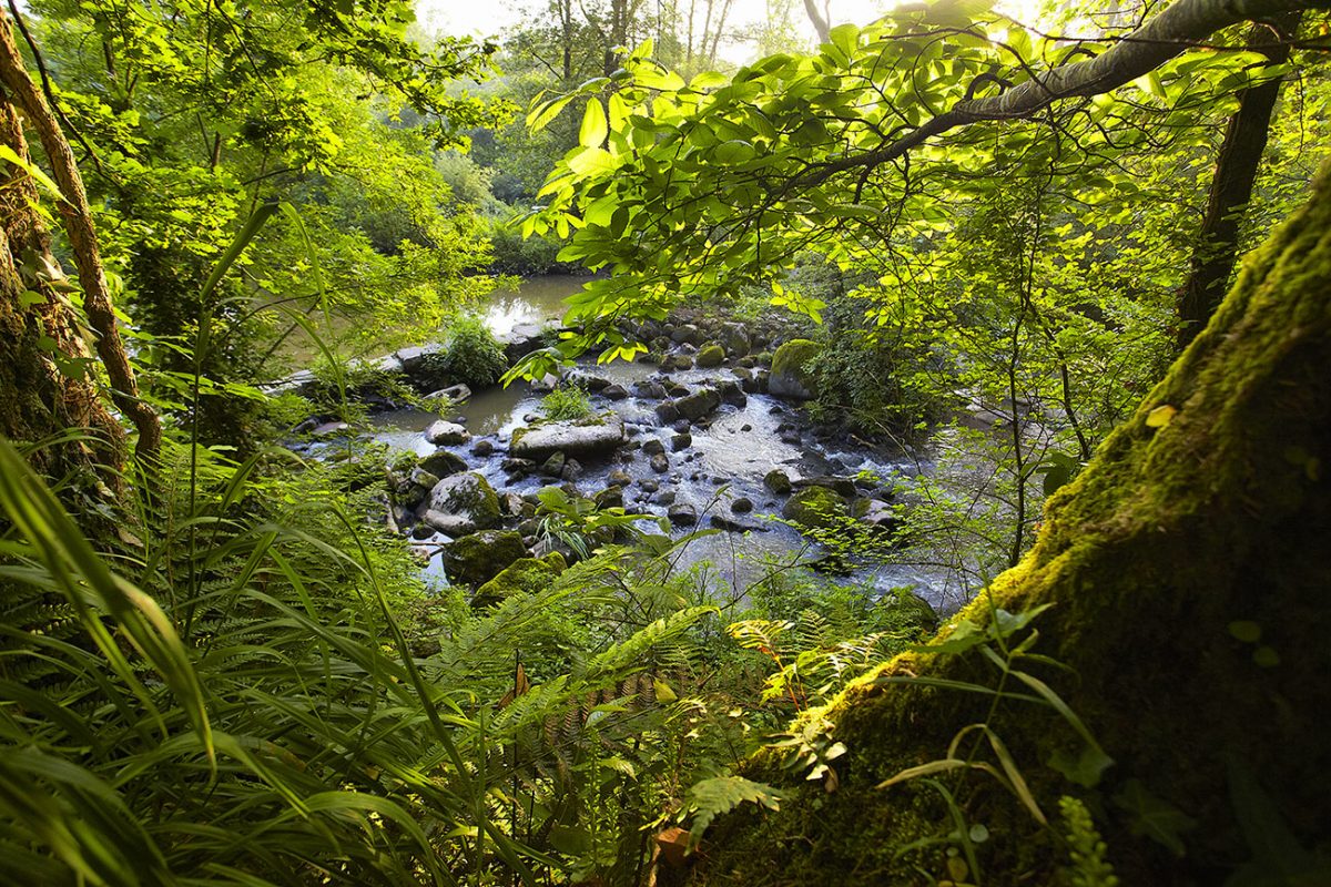 Vallée de l'Yon La Roche sur Yon Vendée