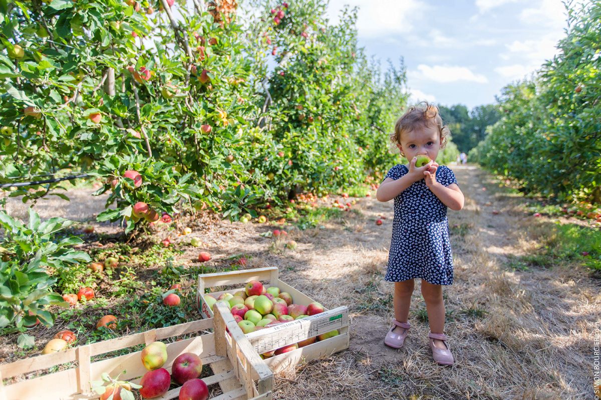 Visites producteurs locaux Vergers de la Malvergne Martinet