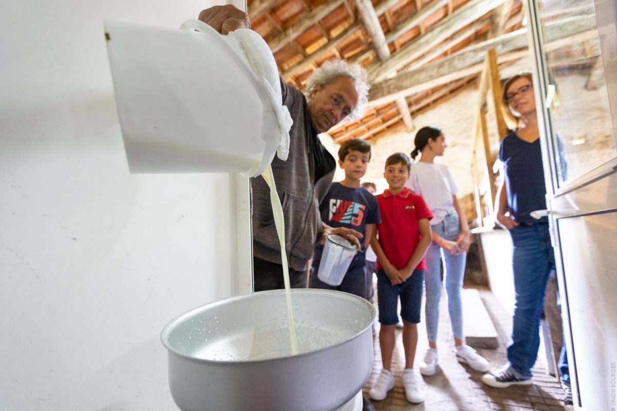 Visites chez les producteurs Ferme de la Chancelière lait
