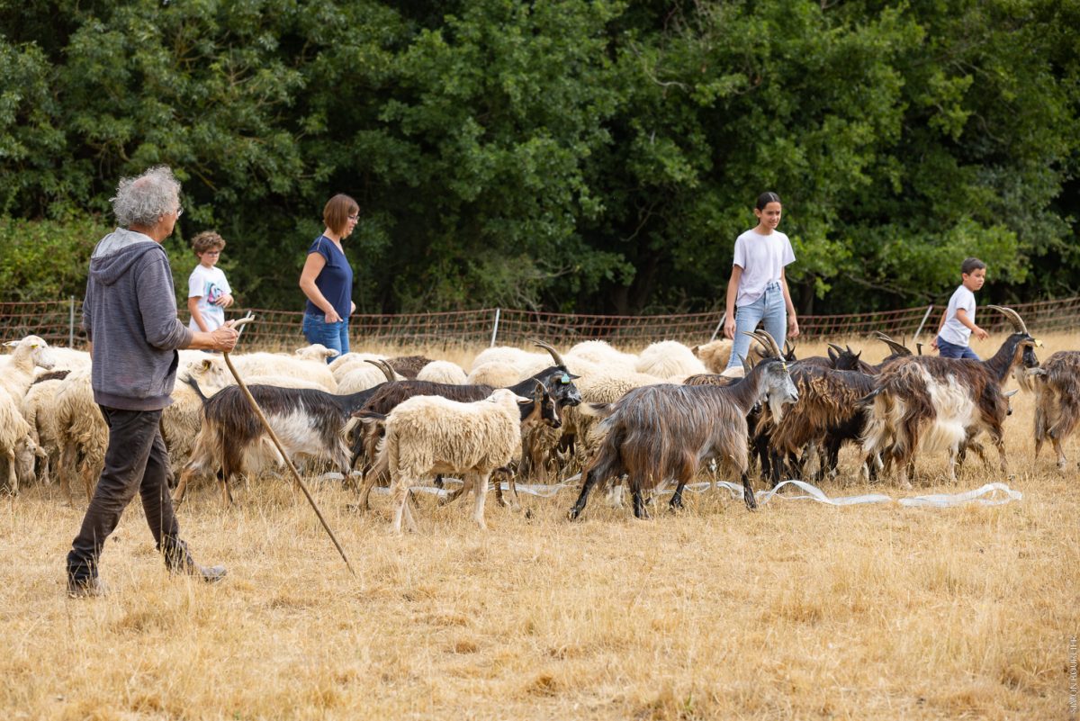 Visites chez les producteurs Ferme de la Chancelière dressage canin