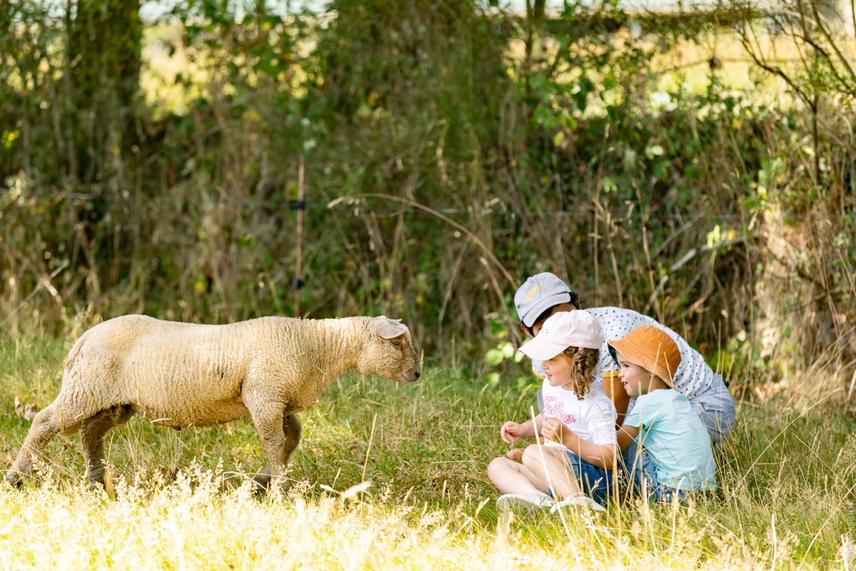Visites chez les producteurs Ferme du Petit Grain