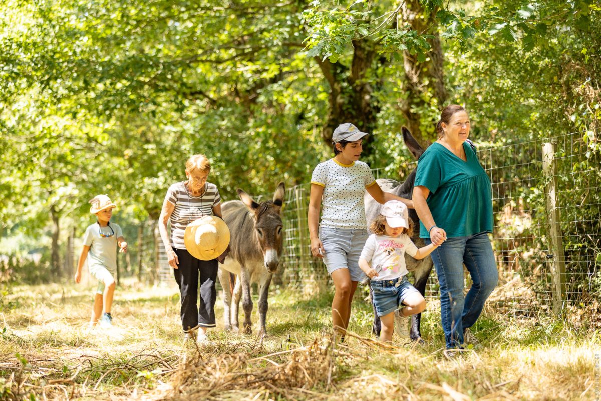 Visites chez les producteurs Ferme du Petit Grain
