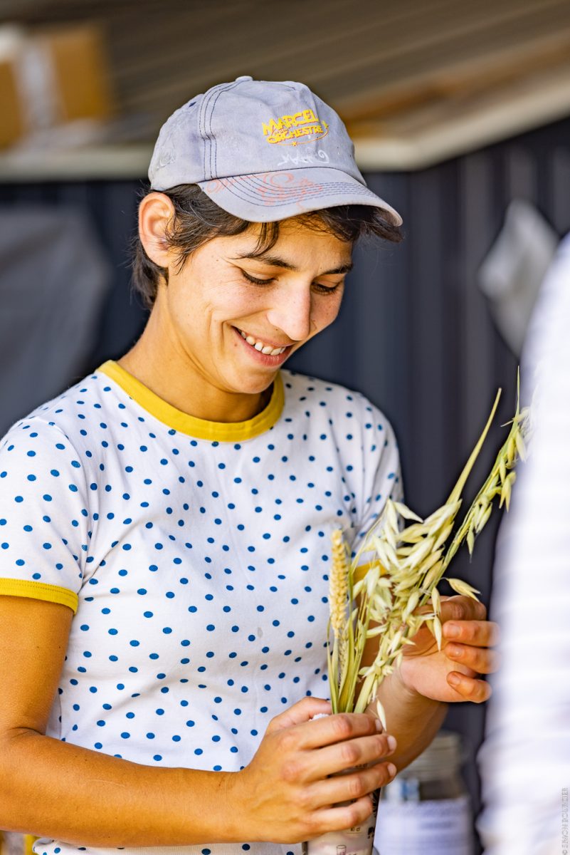 Visites chez les producteurs Ferme du Petit Grain explication avoine