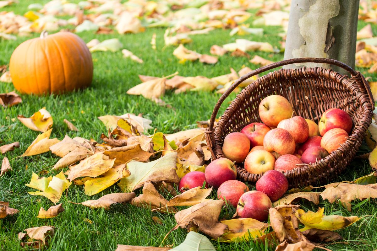 Vacances de la Toussaint en famille