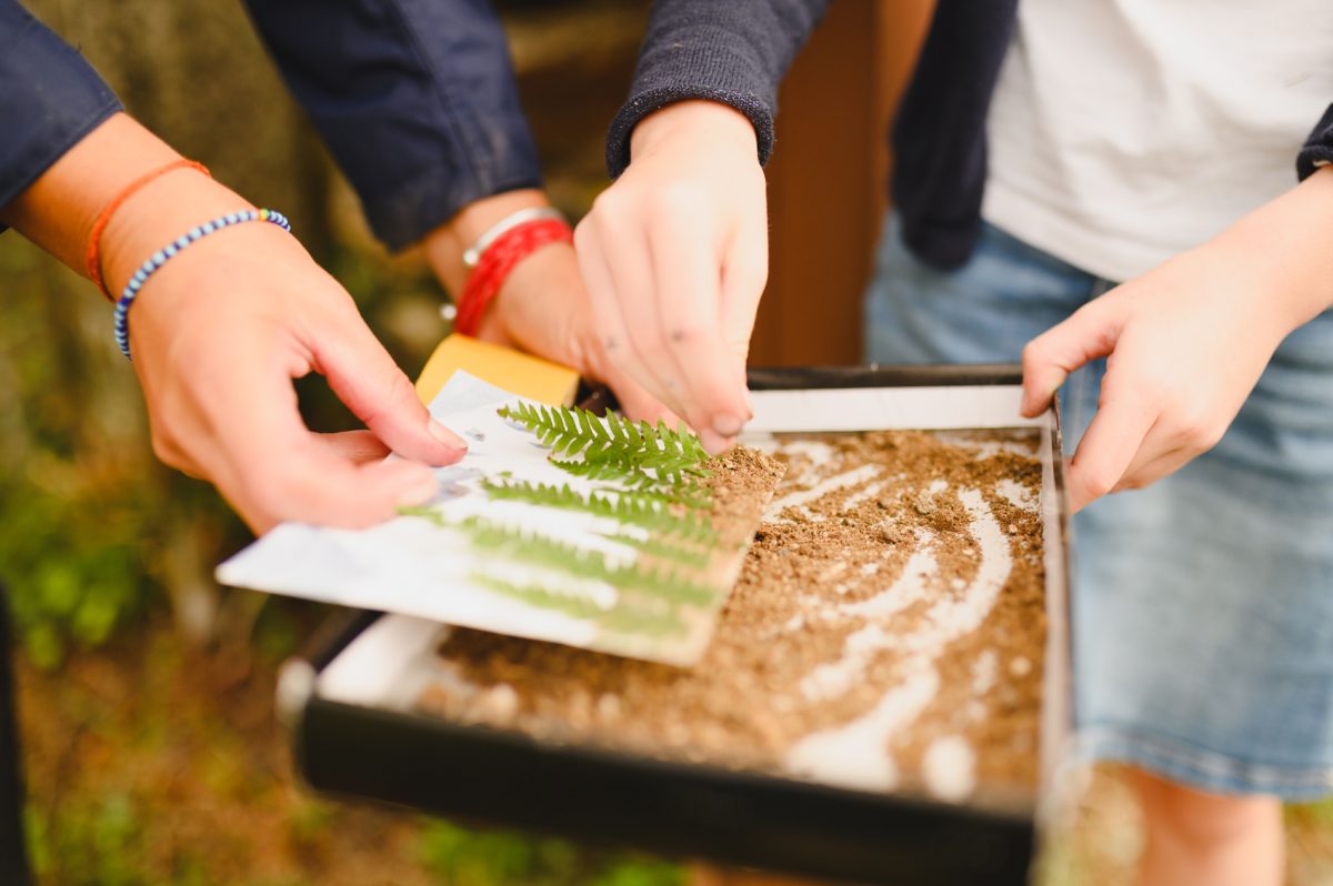 Fabrication cartes postales sorties nature