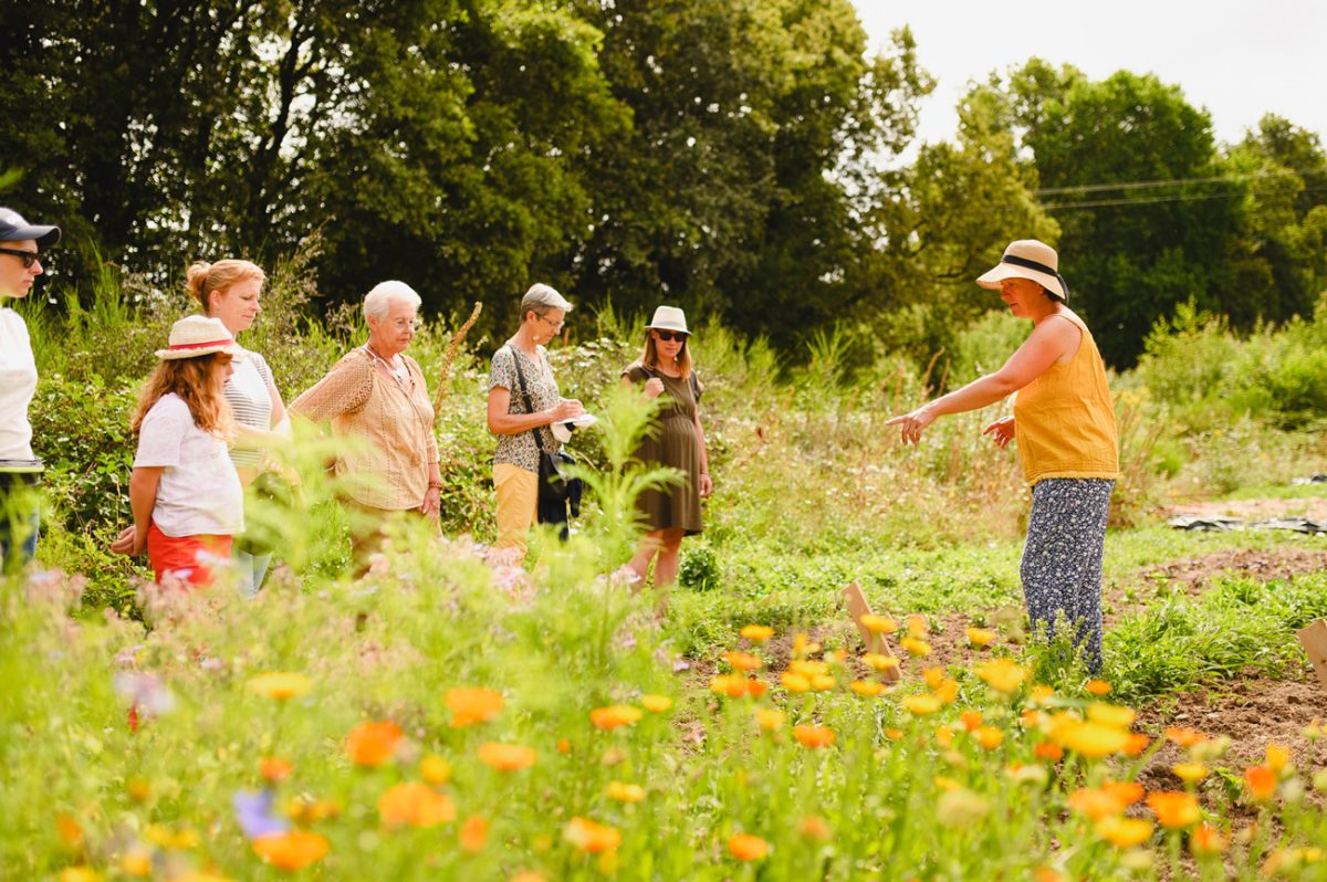 Visites producteurs Herbes Riantes