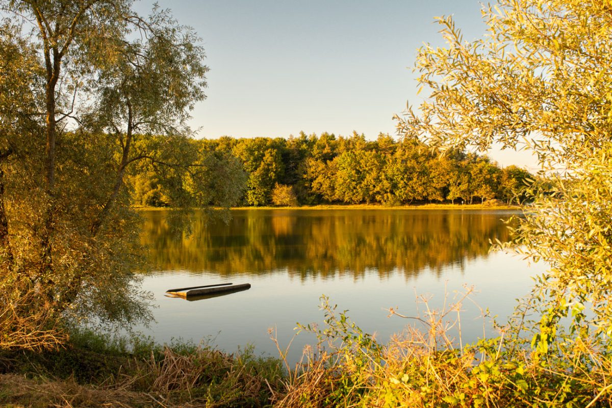 Lac du Jaunay ambiance automnale