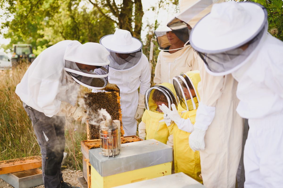 Visite producteurs Abeille Bellilocaine