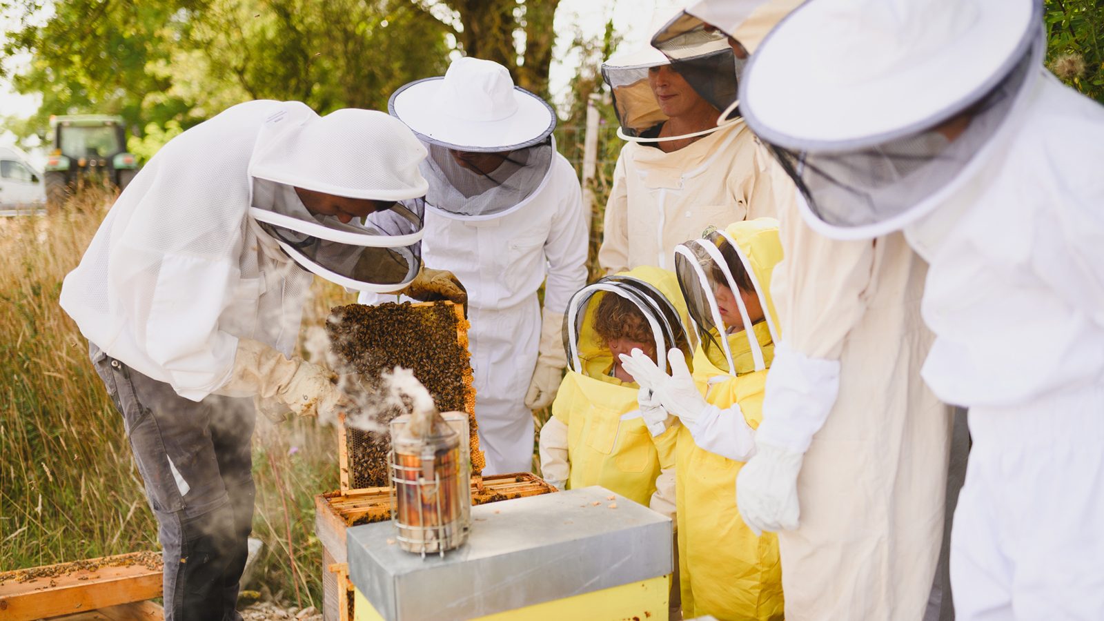 Visite producteurs Abeille Bellilocaine