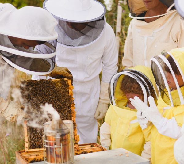 Les visites chez nos producteurs