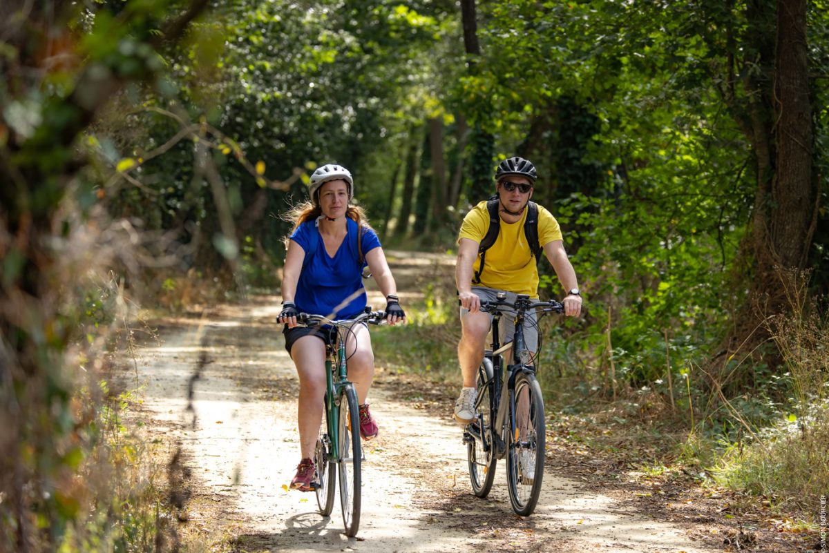 Rando itinéraire Vendée Vélo La Baudrière St Julien des Landes