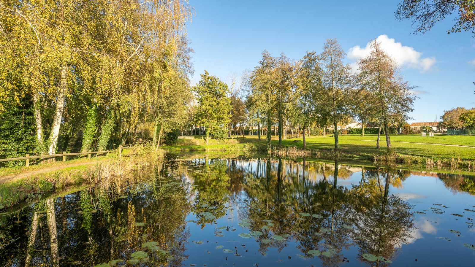 Les étangs du Pré de la Fontaine La Chapelle-Achard