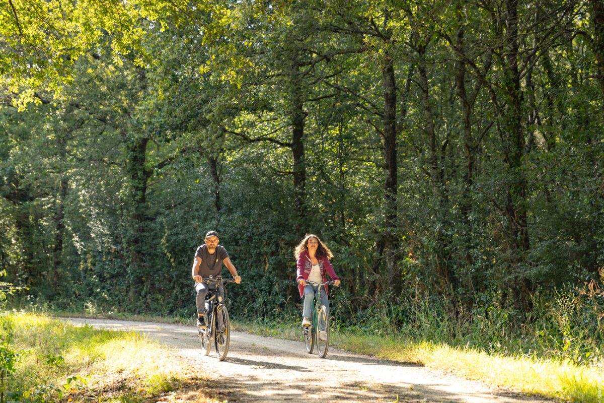 Rando vélo itinéraire Vendée Vélo Sainte-Flaive-des-Loups 85150
