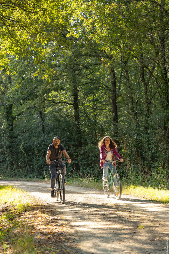 Rando vélo itinéraire Vendée Vélo Sainte-Flaive-des-Loups 85150