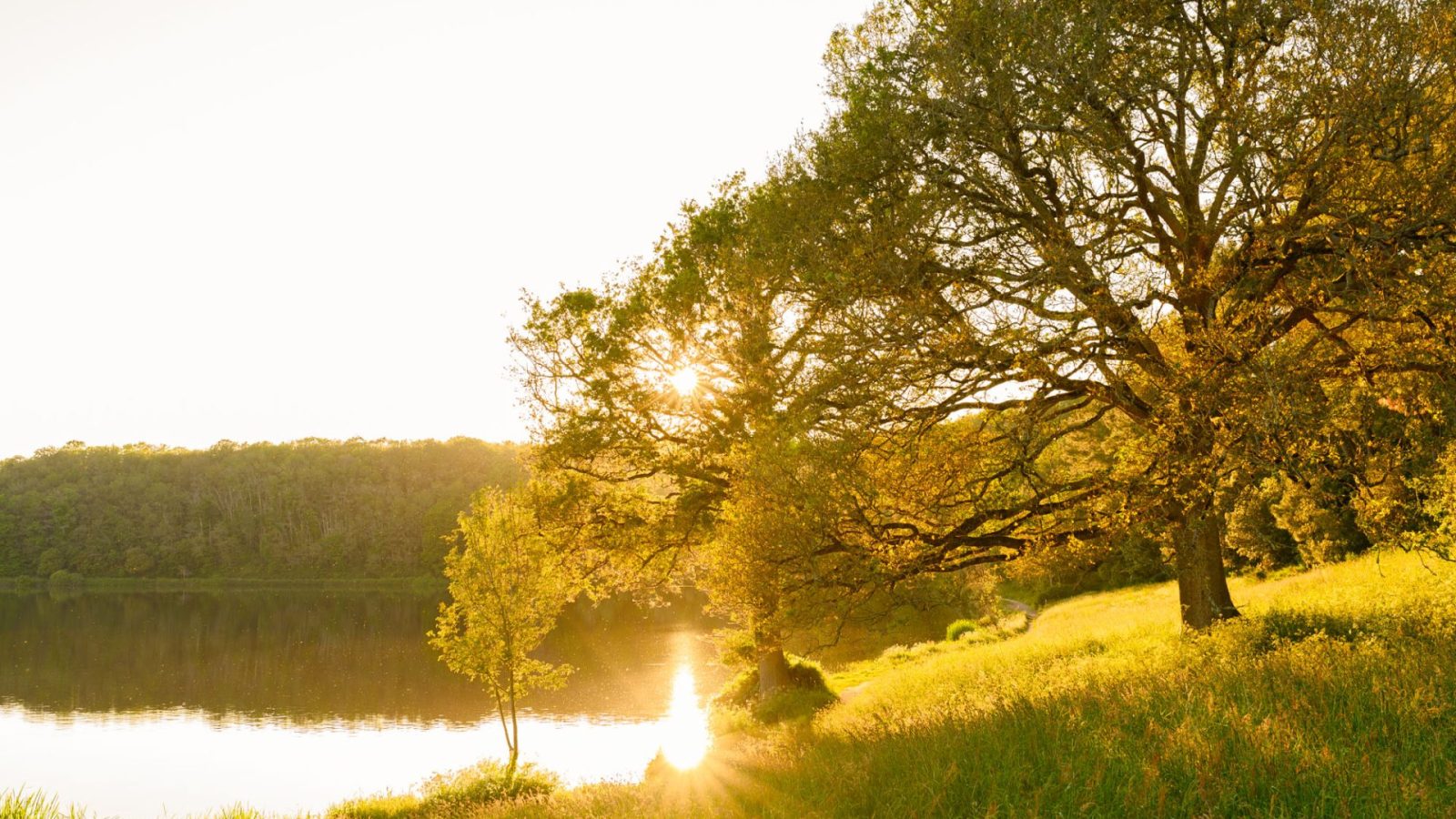 Soleil Lac du Jaunay