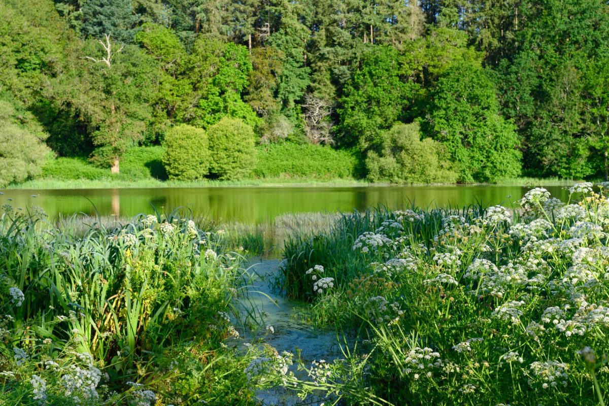 Lac du Jaunay en Vendée
