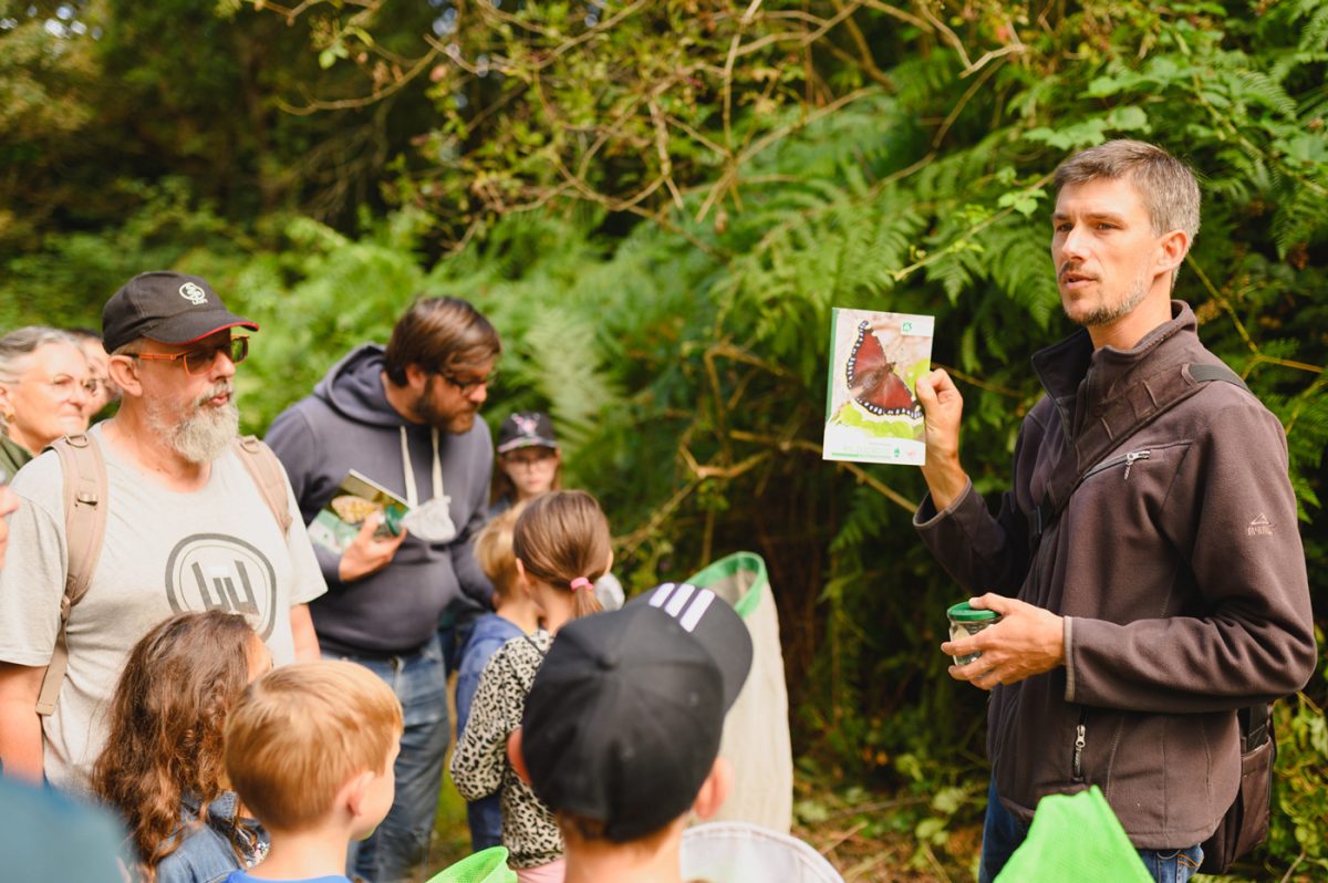 Observation des insectes Patrick Trecul Jaunay' Scapades