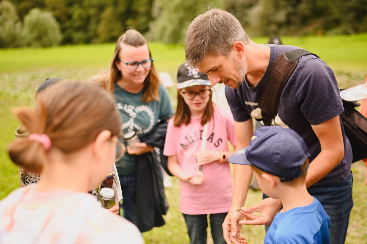 Observation des insectes Patrick Trecul Jaunay' Scapades