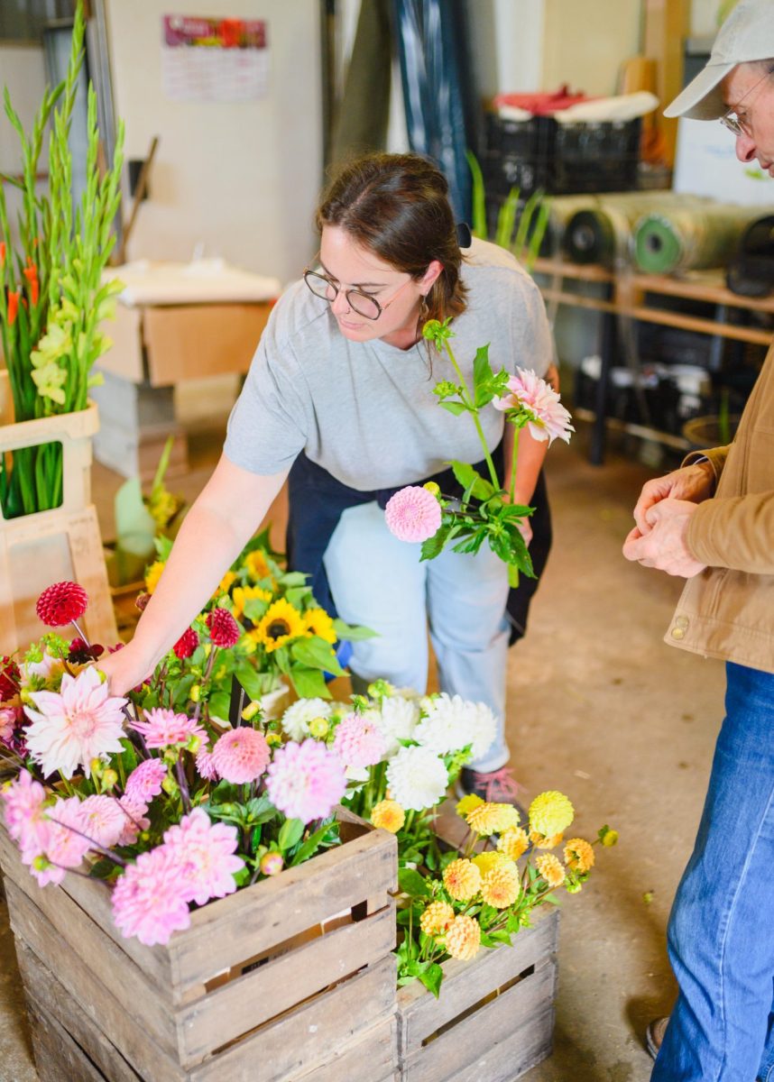 Visite producteur Ferme Florale Les Singulières
