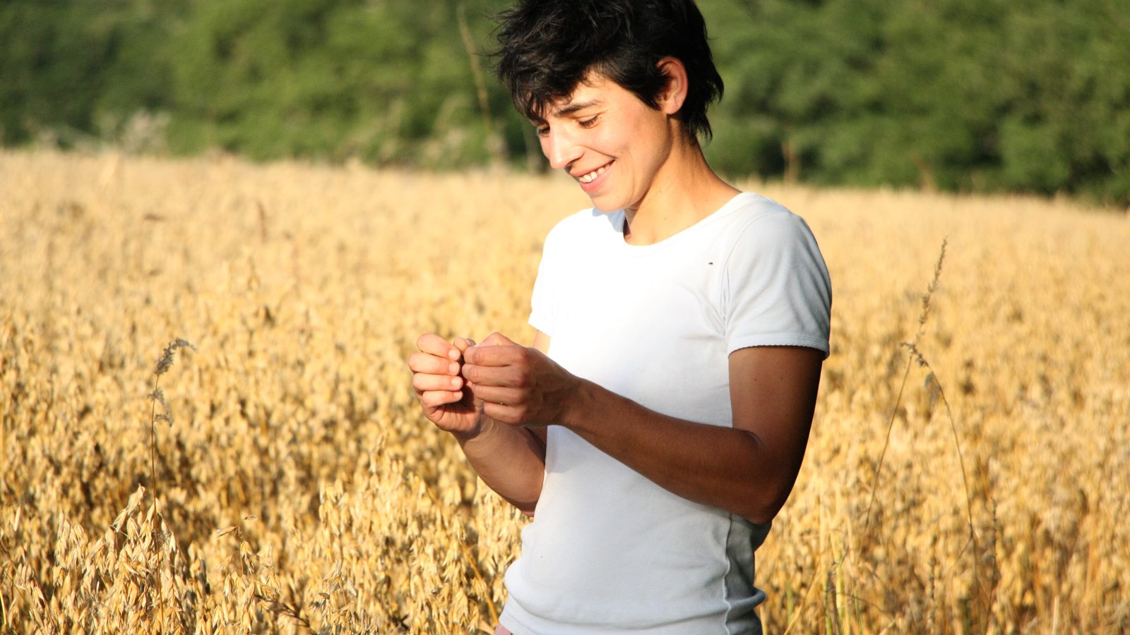 Muesli et avoine de Titiana Ferme du Petit Grain