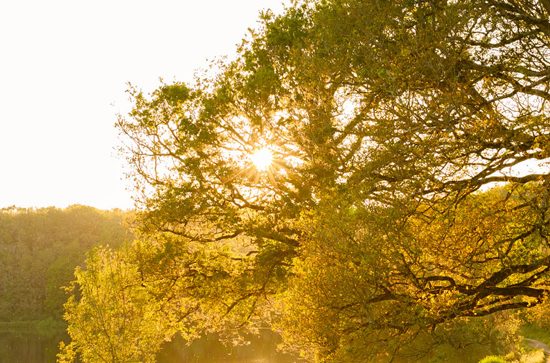 Week-end à la campagne : notre top des idées pour se mettre au vert !