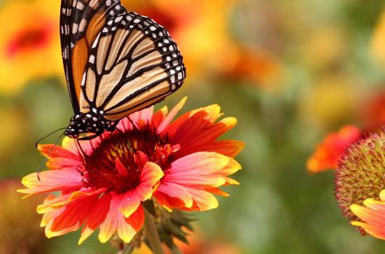 Vacances de printemps au Pays des Achards