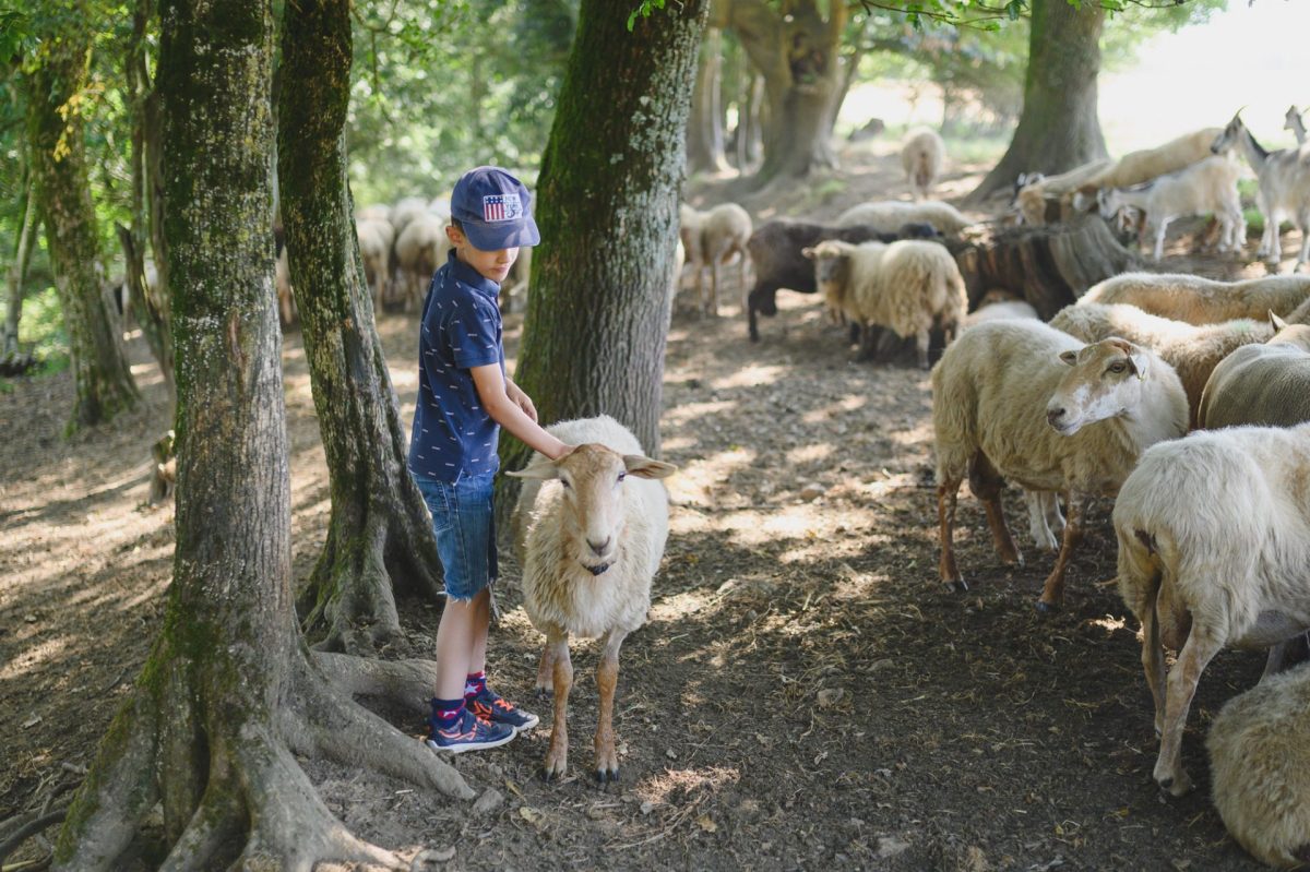 top 5 visites à la ferme de la chancelière pays des achards
